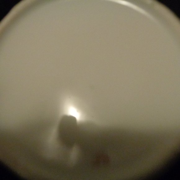 ANTIQUE BAVARIAN G F FLORALS SQUAT CREAMER - Picture 6 of 8